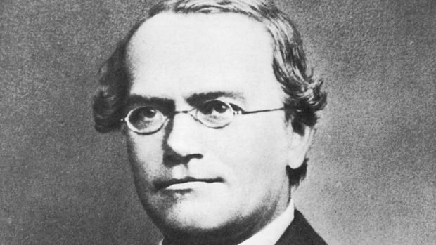 Biolog, matematik a katolický kněz Gregor Johann Mendel