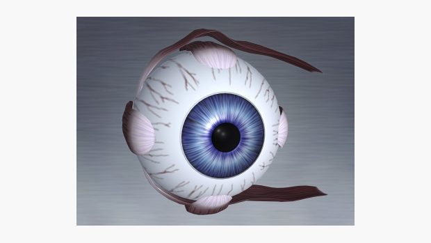 Lidské oko - ilustrační obrázek