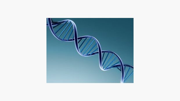 Šroubovice DNA