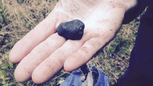 Meteorit z Čeljabinsku. Ten, který hledají astronomové na Vysočině, vypadá stejně
