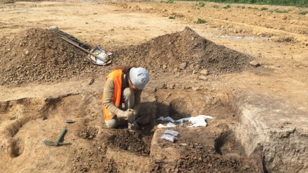 Archeologové pracují nedaleko Horusic u Veselí nad Lužnicí, na místě, kde vyroste dálnice D3