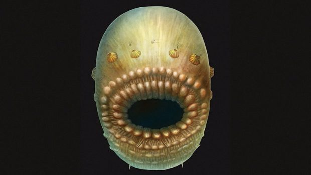 540 milionů starý předek člověka Saccorhytus