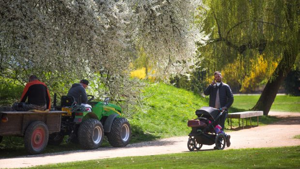 Pracovníci služeb města upravují zeleň v Tyršových sadech v Pardubicích