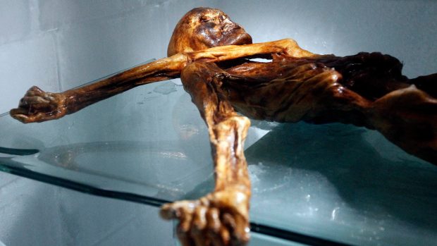 Ötzi, přírodní mumie stará přibližně 5300 let, nalezená v roce 1991 na italské straně hranic v Ötztalských Alpách, je dnes vystavena v muzeu v Bolzanu