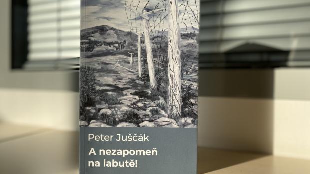 Titul A nezapomeň na labutě! autora Petera Juščáka.