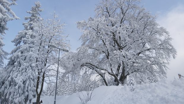 Zima (ilustrační foto)