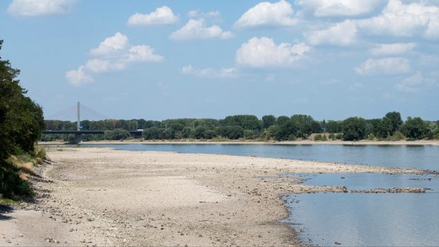 Vysychání vodních toků postihlo i řeku Rýn
