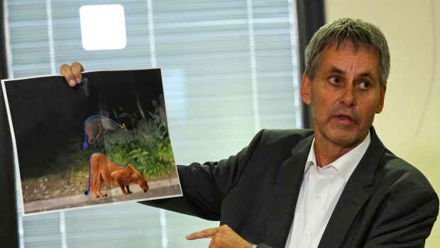Michael Grubert, starosta Kleinmachnow, drží fotografii, která ukazuje, že podezřelé zvíře na útěku nemusí být podle odborníků lev