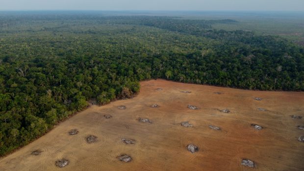 Odlesňování Amazonského pralesa
