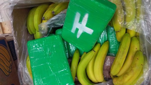 Lisované kostky kokainu, které v krabicích od banánů, nalezli pracovníci supermarketu v Jičíně a Rychnově nad Kněžnou.