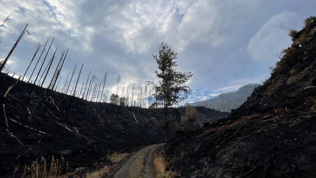 Požár v Českém Švýcarsku se nešíří na nová místa, lokalizovaný ale zatím není