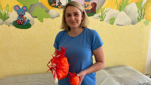 Lékaři z Fakultní nemocnice v Brně se na modelu vytištěném 3D tiskárnou připravili na operace cévních anomálií