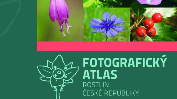 Obálka chystaného fotografického atlasu rostlin