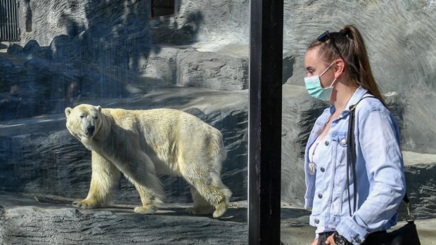 Od pondělí má otevřeno i pražská zoo