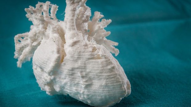 Model dětského srdce vyrobený pomocí 3D tiskárny (ilustrační foto).