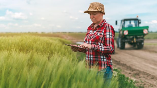 Zemědělství, zemědělec, tablet, moderní technologie
