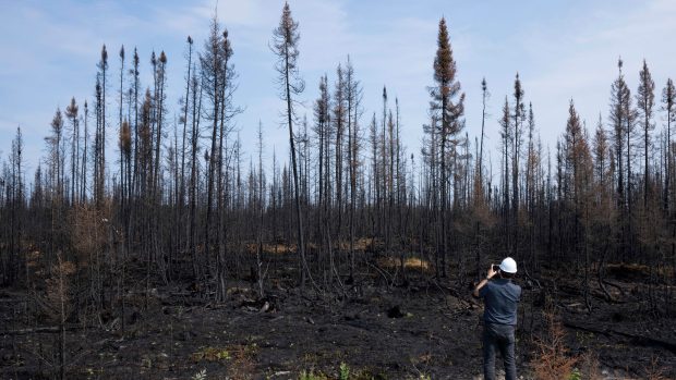 Krajina po lesním požáru v kanadské provincii Québec