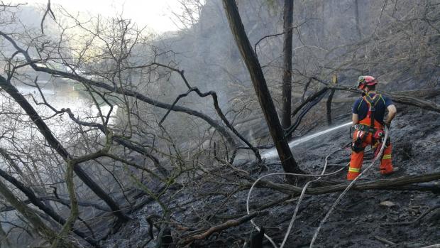 Hašení lesního požáru u Libčic nad Vltavou u Prahy potrvá zřejmě do odpoledne