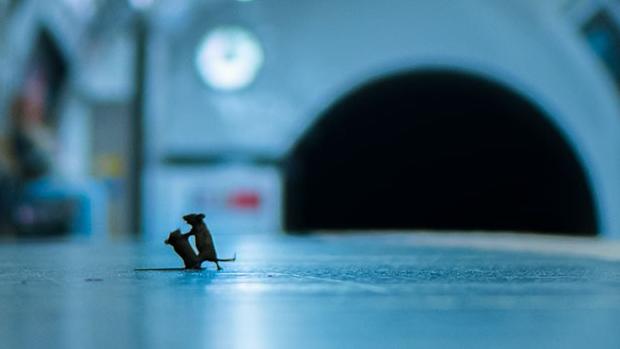 Vítězný snímek fotografa Sama Rowleyho, který zachytil dvě bojující myši v metru