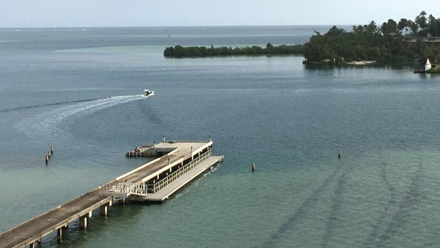 Z tohoto místa každý den jezdí vědci na motorovém člunu do práce na Kokosový ostrov.