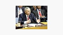 Colin Powell v Radě bezpečnosti