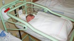 V nově zrekonstruované mělnické porodnici přivítali první novorozence