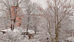 První sníh v Praze 29.11.2010 na Vinohradech