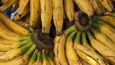 Banány (ilustr. obr.)