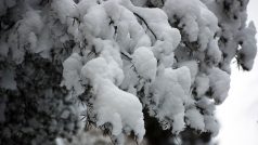 Sníh ve Finsku od Duke duvinh