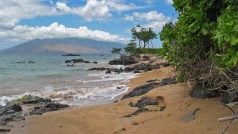 Pláž Kihei na havajských ostrovech (v pozadí West Maui Volcano)