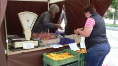 Farmářský trh v Unhošti na Kladensku (1) - prodej ovoce
