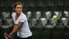 Iveta Benešová nastoupí ve Fed Cupu na kurt jako první, proti Sabine Lisické