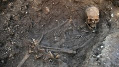 Kostra nalezená pod parkovištěm v anglickém městě Leicester, která pravděpodobně patří anglickému králi Richardovi III.