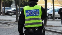 Strážník Městské policie