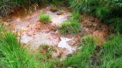 Přehrážky na Cínoveckém hřbetě zadržují v rašeliništi vodu