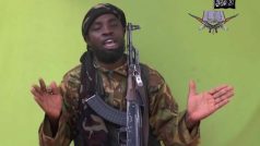 Vůdce Boko Haram Abubakar Shekau v reakci na ustavení mezinárodních sil prohlásil, že se jich nebojí