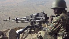 Akce proti radikálům z Boko Haram se účastní i kamerunští vojáci