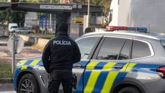 Policie na slovensko-maďarských hranicích na jižním Slovensku