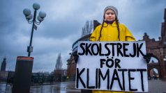 Patnáctiletá Švédka Greta Thunbergová protestuje před švédským parlamentem proti změně klimatu.