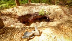 Jáma po nelegální těžbě vltavínů v lese na Novohradsku v jižních Čechách