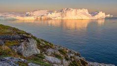 Pravěká rostlina, kterou vědci našli pod ledem, ukazuje, že grónský ledovec taje rychleji, než se myslelo