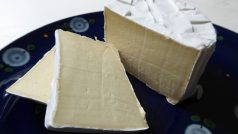 Plísňový sýr