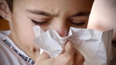 Nemoc, rýma, nachlazení, únava, alergie, chřipka (ilustrační foto)
