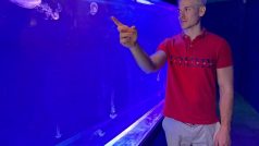 V chomutovském zooparku otevřeli druhé největší medúzárium v Česku