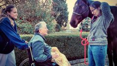 Terapeutický kůň Sagi v domově pro seniory v Chýnově