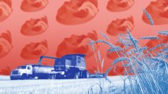 Před pár lety zemědělci lobovali proti zákazu pesticidu, který jim teď vadí v ukrajinském obilí