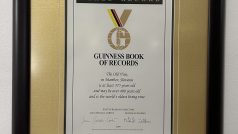 V roce 2004 byla réva zapsána do Guinessovy knihy rekordů