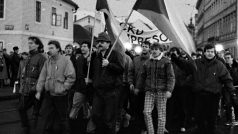 Série demonstrací skončila 21. ledna poutí do Palachových rodných Všetat
