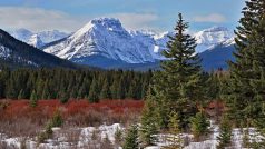 Skalisté hory v kanadské provincii Alberta