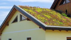 Zelená střecha (ilustrační foto)